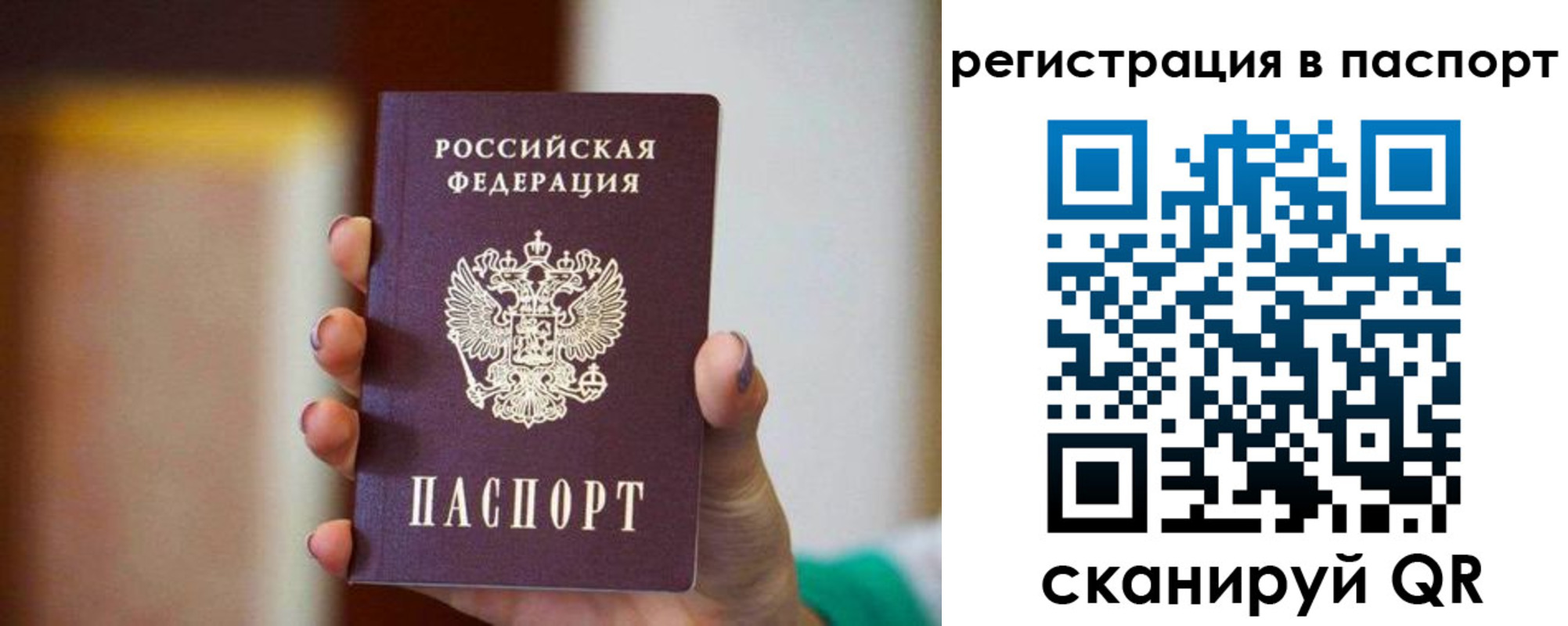 временная регистрация гарантия в Светлом