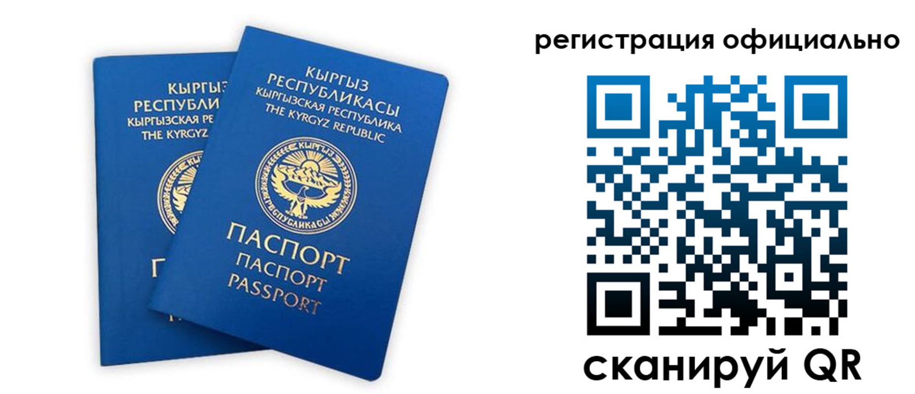 прописка поиск в Светлом
